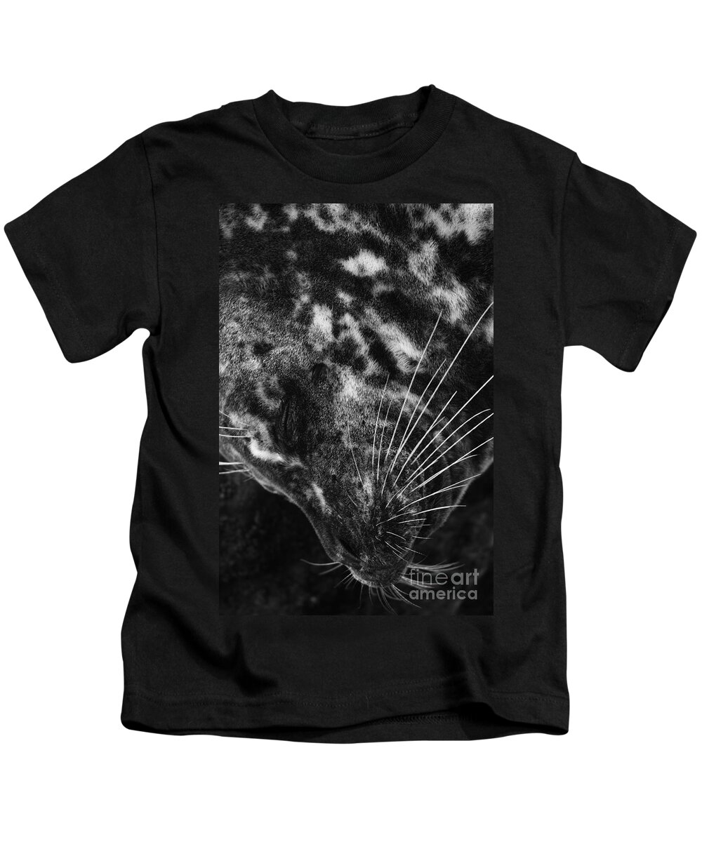 Landscapes Kids T-Shirt featuring the photograph Seal Solitude by John F Tsumas