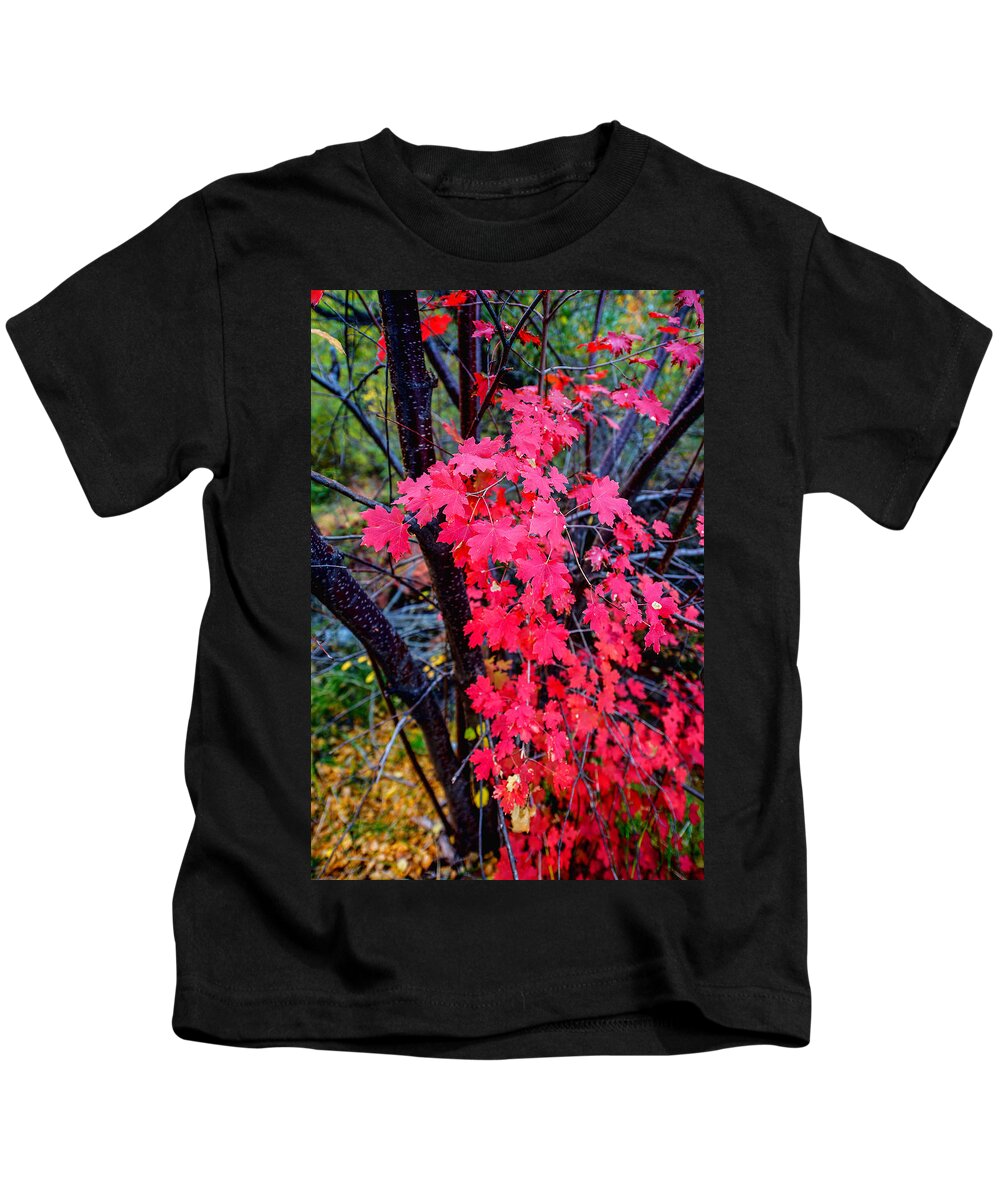 Fall Kids T-Shirt featuring the photograph Southern Fall by Chad Dutson
