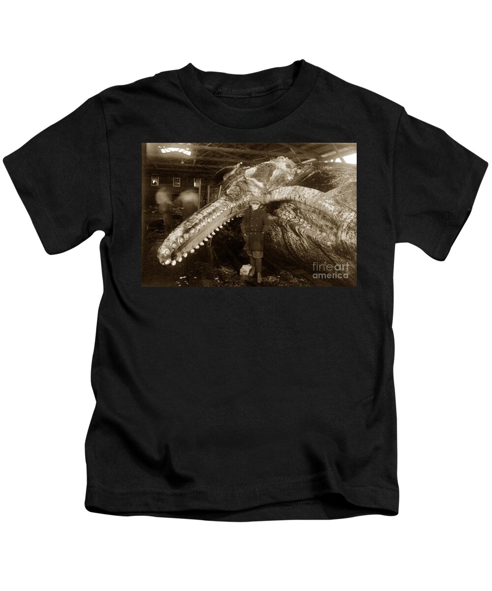  Whale Kids T-Shirt featuring the photograph Sperm Whale taken at Moss Landing California on January 22 1919 by Monterey County Historical Society