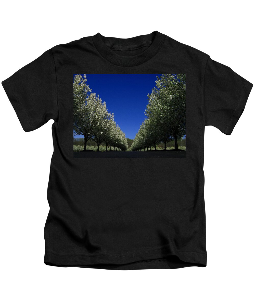 Spring Tunnel Kids T-Shirt featuring the photograph Spring Tunnel by Raymond Salani III