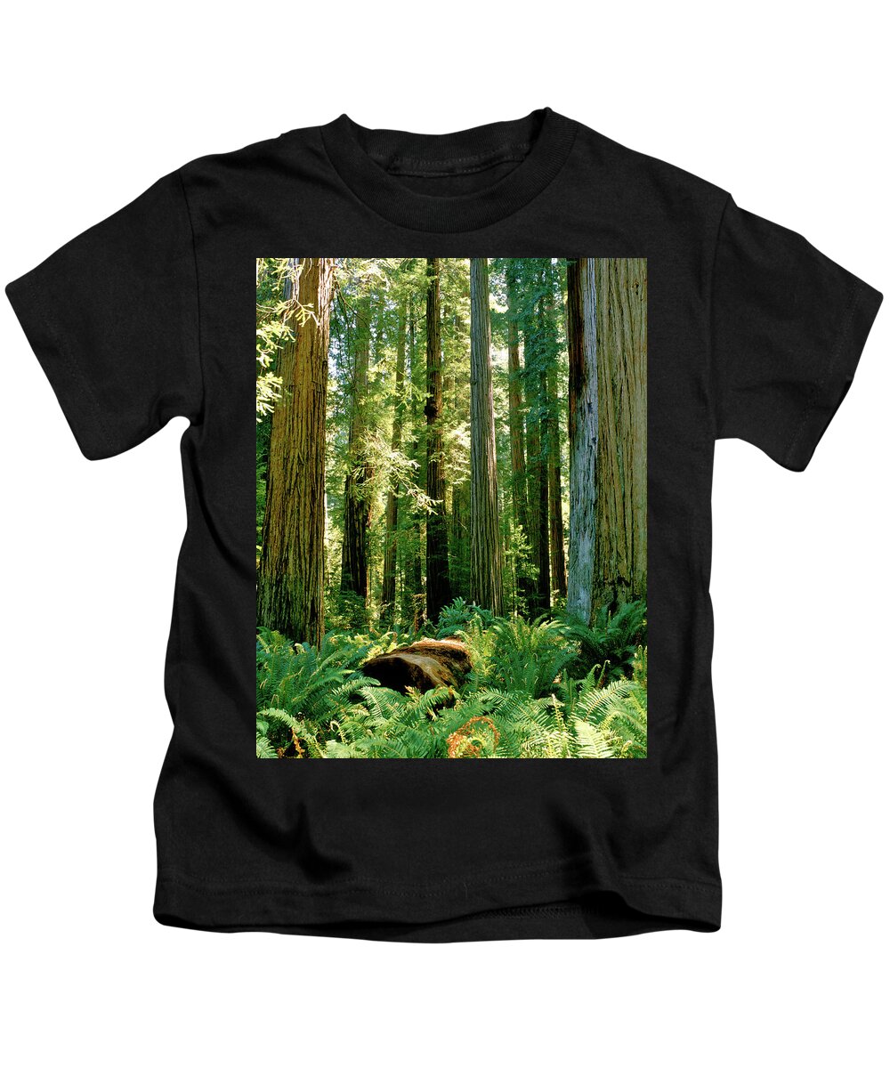 Stout Grove Kids T-Shirt featuring the photograph Stout Grove Coastal Redwoods by Ed Riche