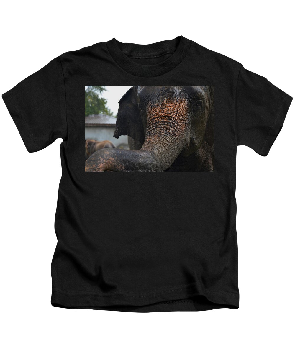 Elephant And Black Kids T-Shirt featuring the photograph Stretching Out by Maggy Marsh