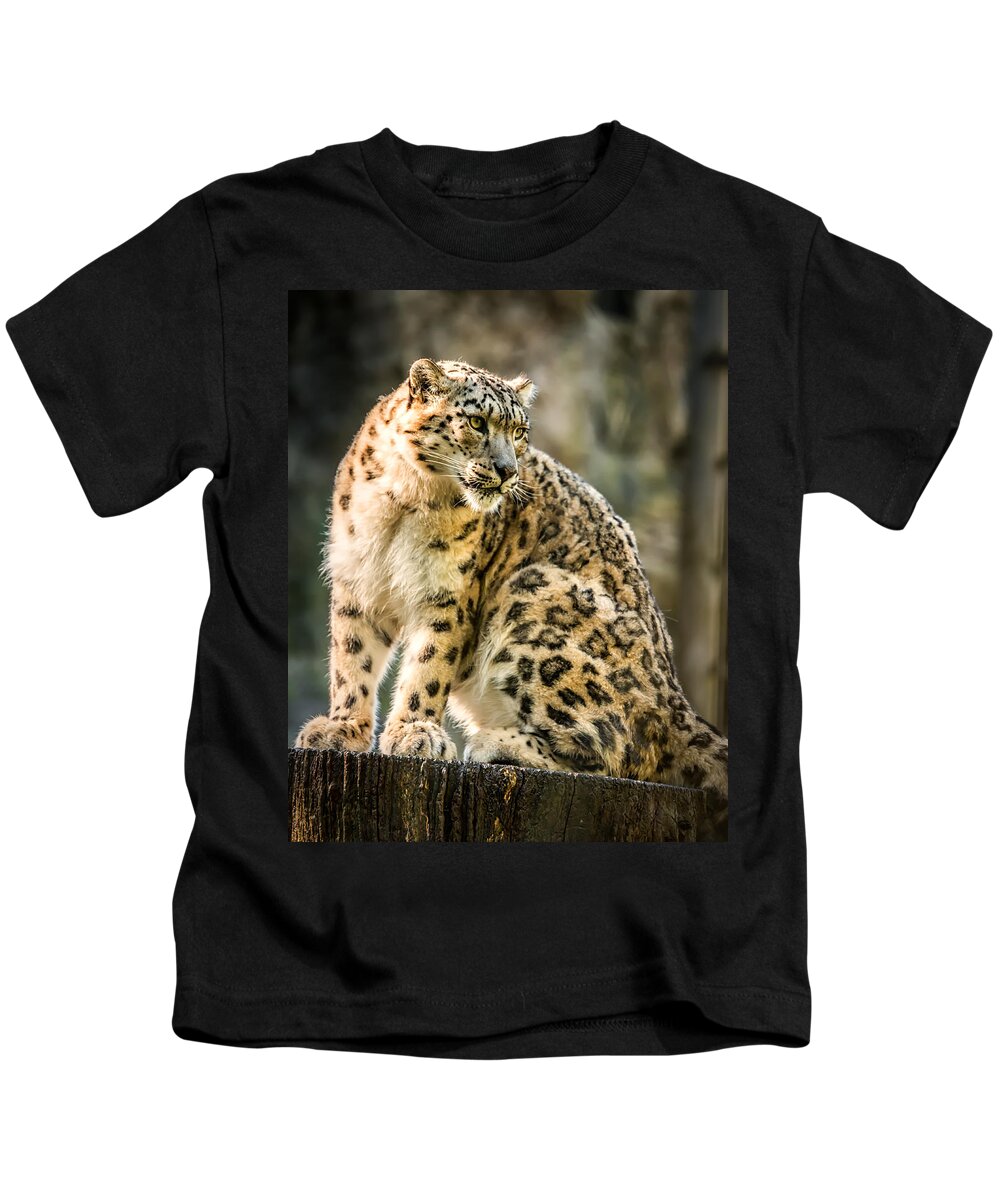 Snow Kids T-Shirt featuring the photograph Sun Leopard Portrait by Chris Boulton