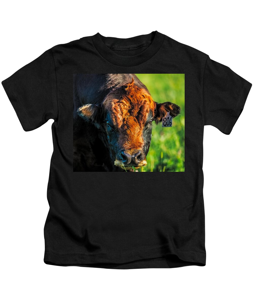Animal Kids T-Shirt featuring the photograph Sunset On 806 by Paul Freidlund