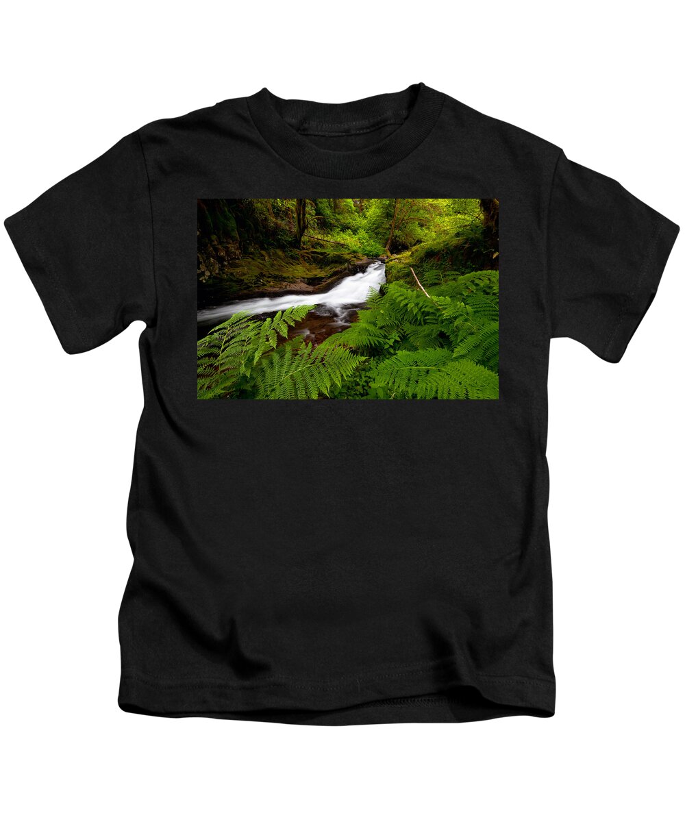 Ferns Kids T-Shirt featuring the photograph Sweet Creek Ferns by Andrew Kumler