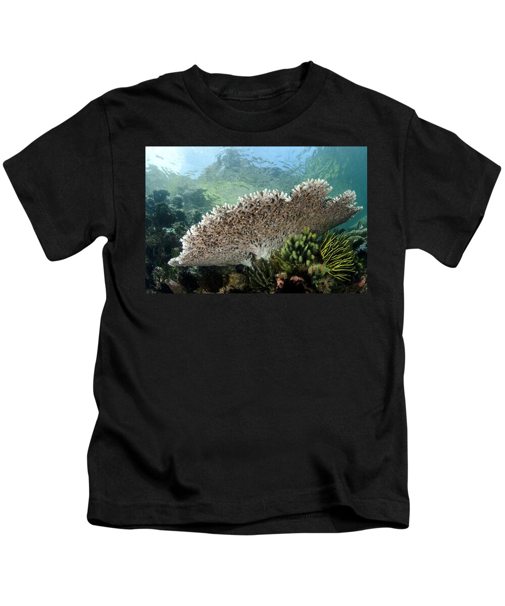 Flpa Kids T-Shirt featuring the photograph Table Coral In Horseshoe Bay Indonesia by Colin Marshall