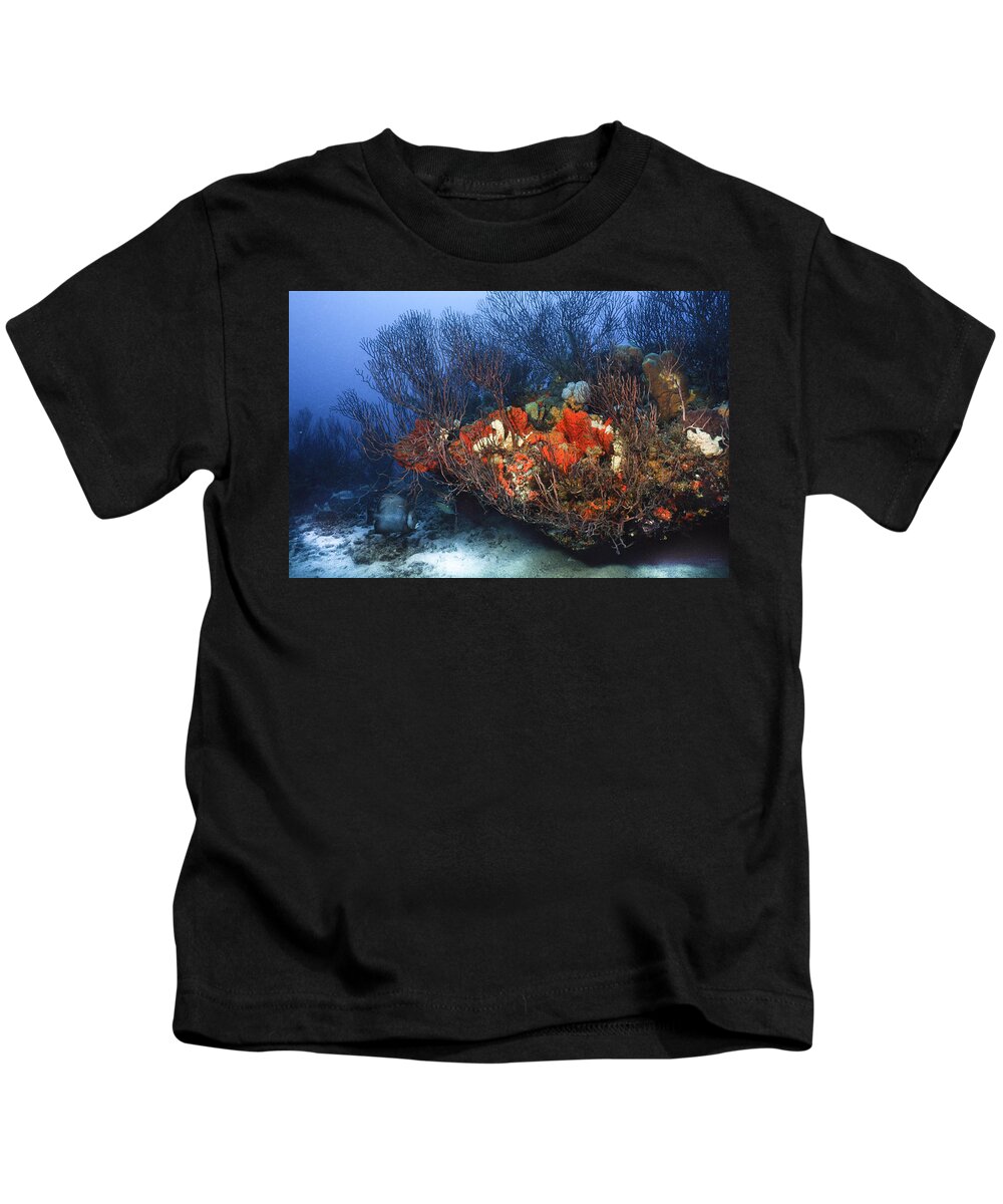 Angelfish Kids T-Shirt featuring the photograph Table Tops by Sandra Edwards