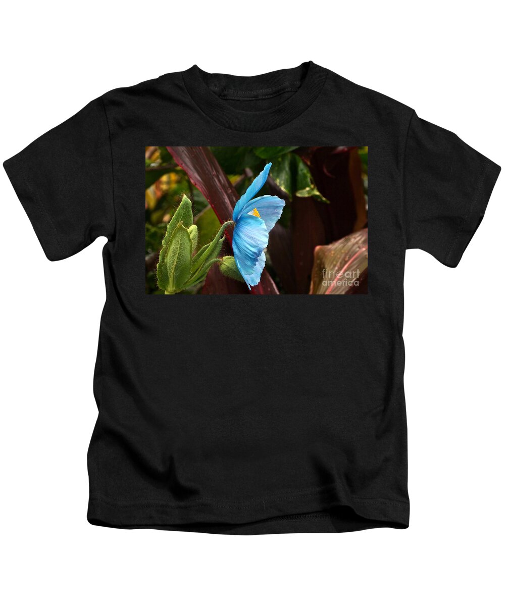 Meconopsis Kids T-Shirt featuring the photograph The Colors Of The Himalayan Blue Poppy by Byron Varvarigos