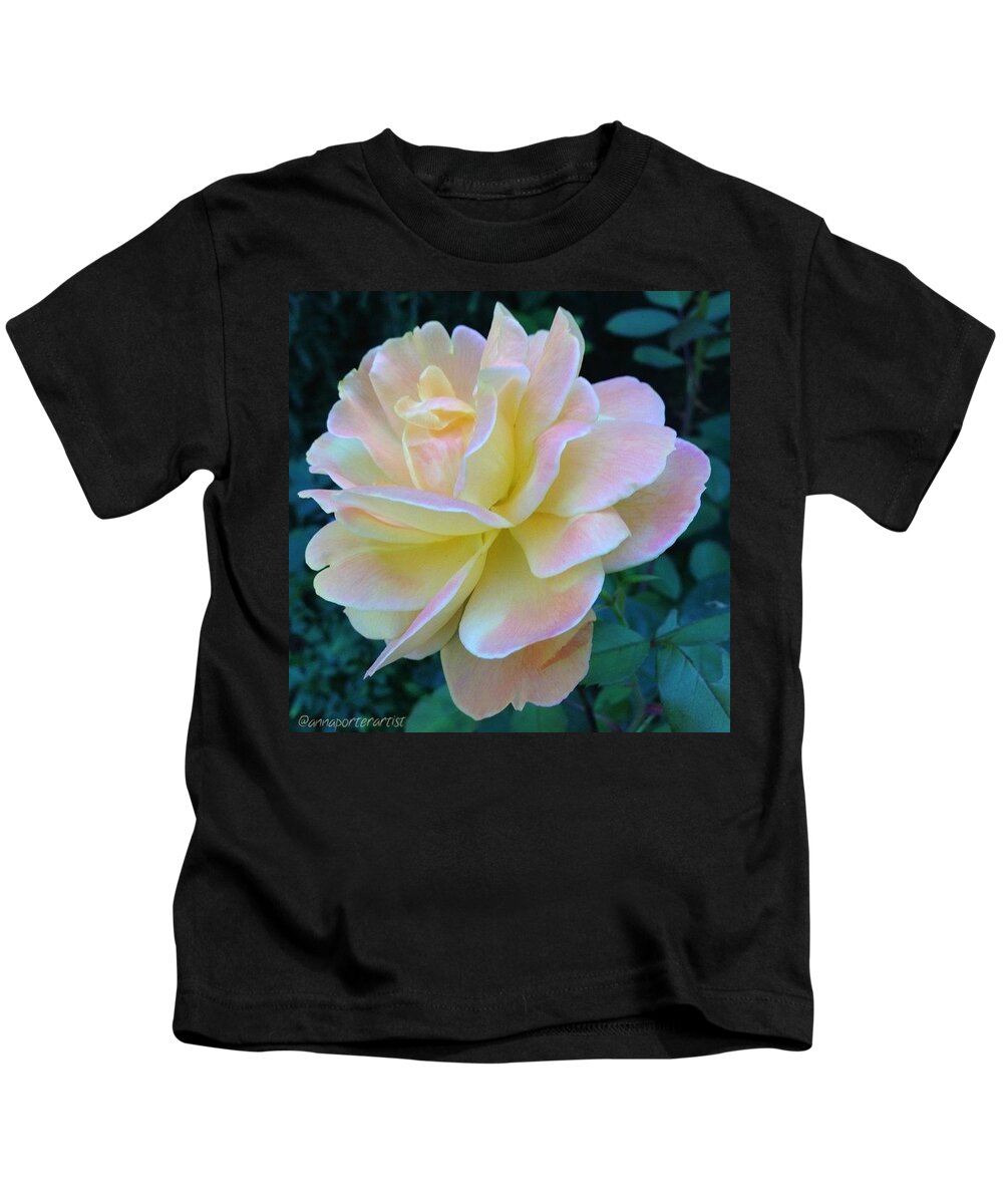 Glowing Kids T-Shirt featuring the photograph The Rose For A Rose Is A Rose Is A Rose by Anna Porter