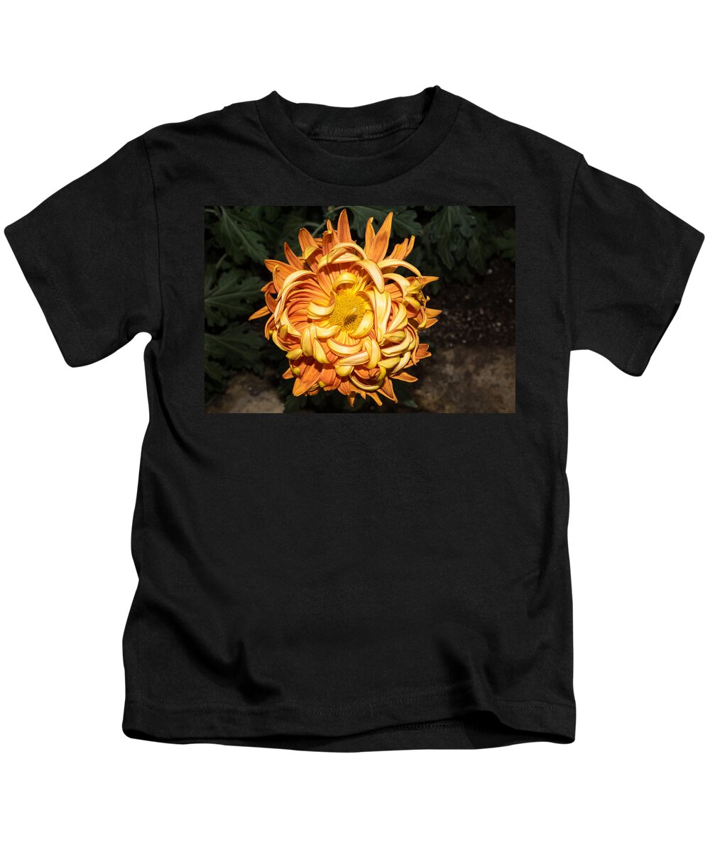 Chrysanthemum Kids T-Shirt featuring the photograph The Sunshine Curls by Georgia Mizuleva