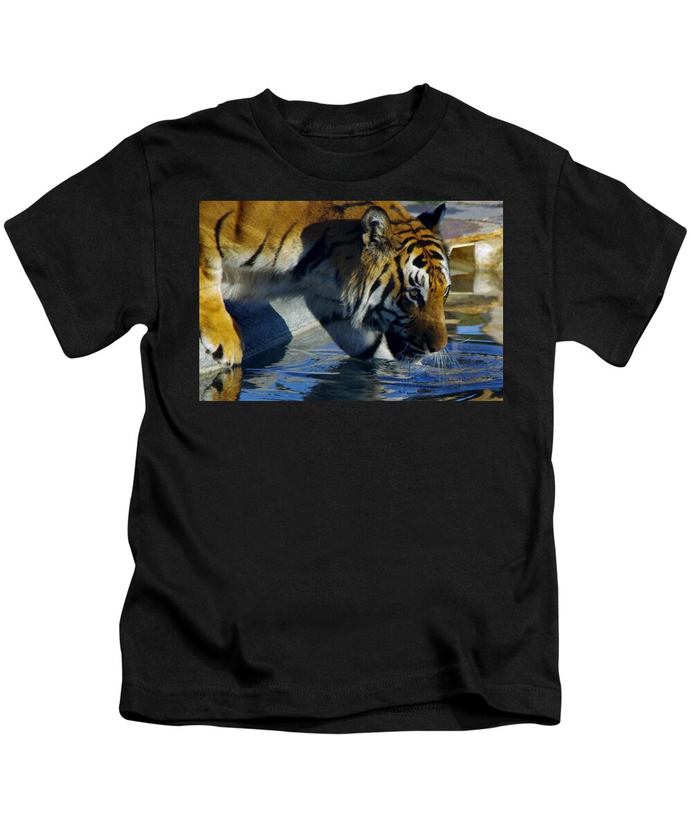 Lions Tigers And Bears Kids T-Shirt featuring the photograph Tiger 2 by Phyllis Spoor