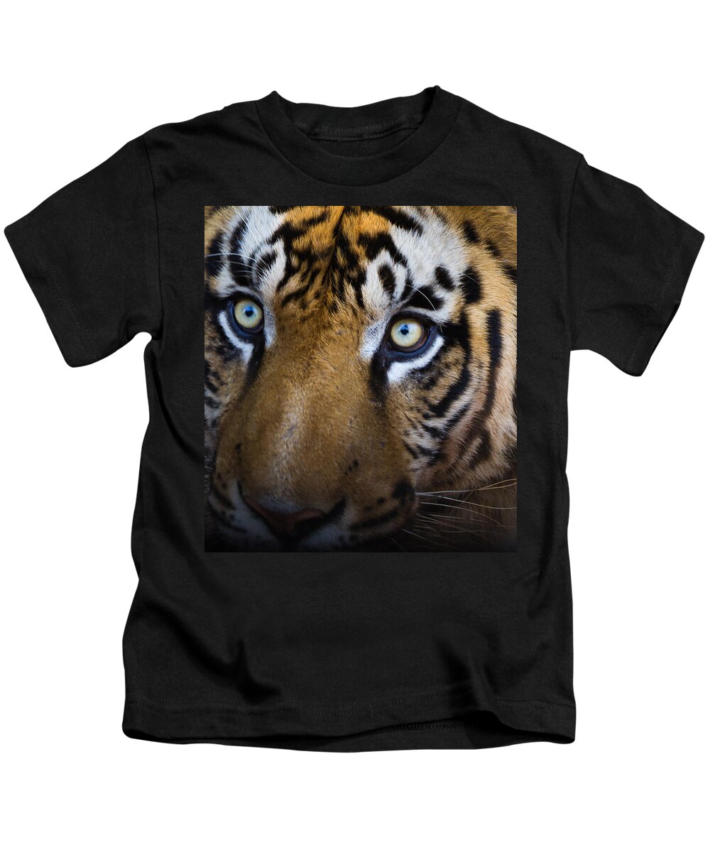 Tiger Kids T-Shirt featuring the photograph Tiger close-up by SAURAVphoto Online Store