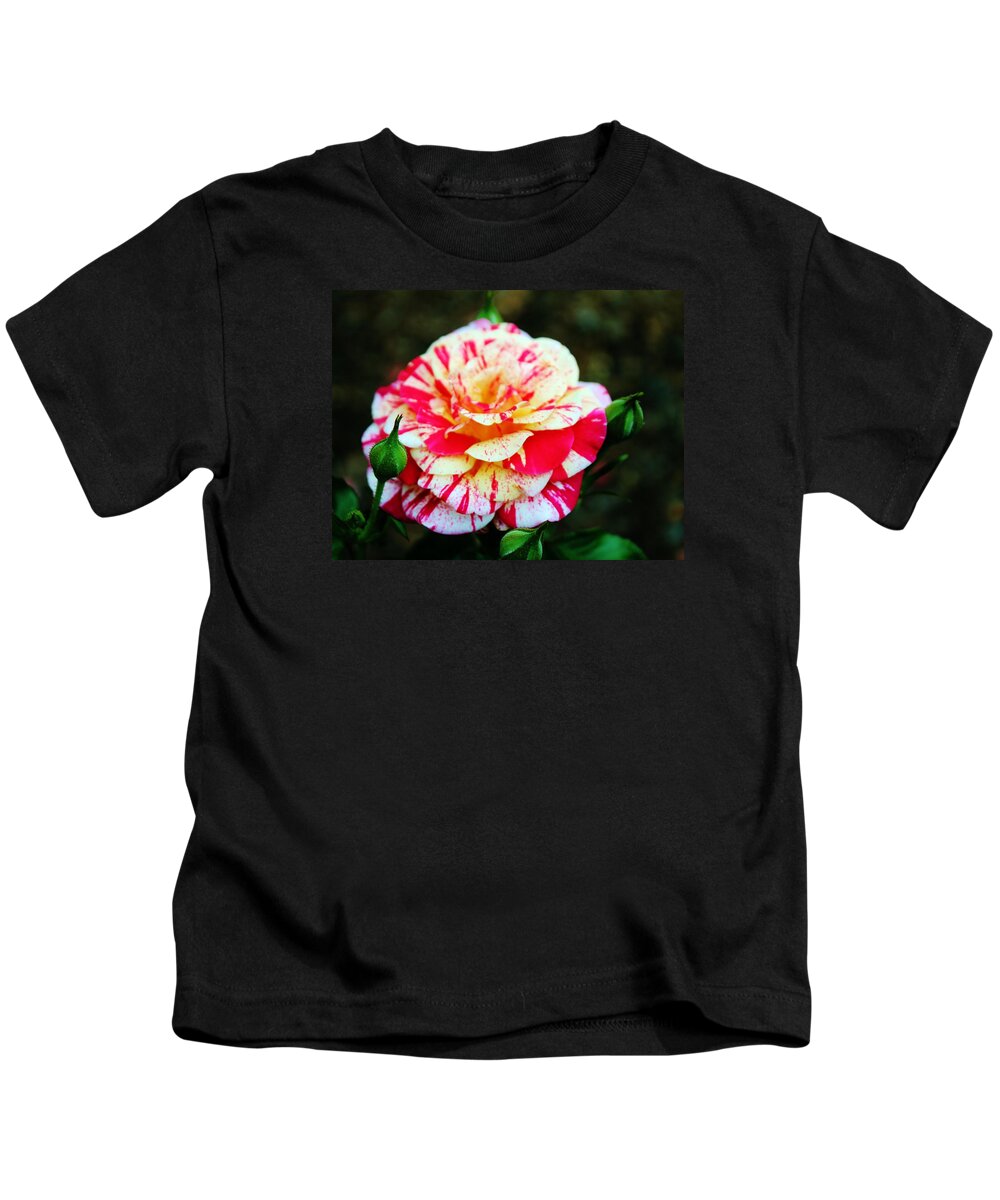 Bi Color Kids T-Shirt featuring the photograph Two Colored Rose by Cynthia Guinn