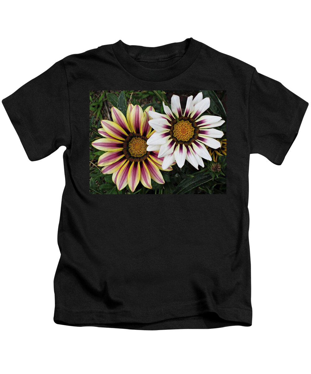 African Daisies Kids T-Shirt featuring the photograph Two Gazanias by MTBobbins Photography