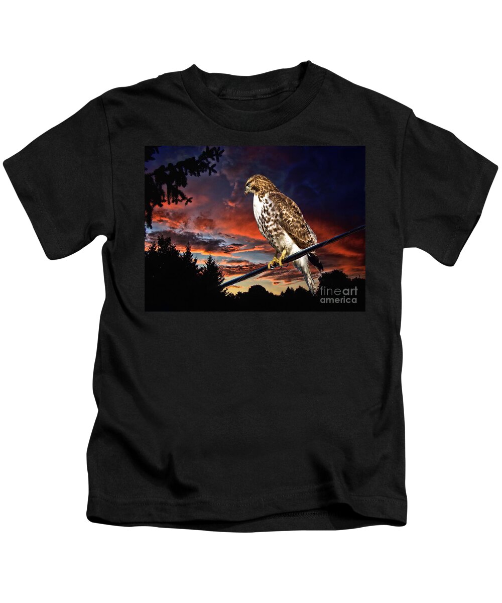 Bird Of Prey Kids T-Shirt featuring the photograph Watching the Sun Set by Andrea Kollo