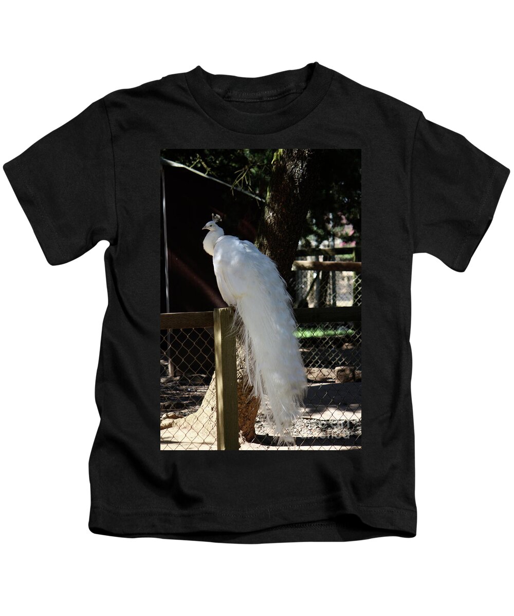 Peacock Kids T-Shirt featuring the photograph White Peacock by Lisa Billingsley