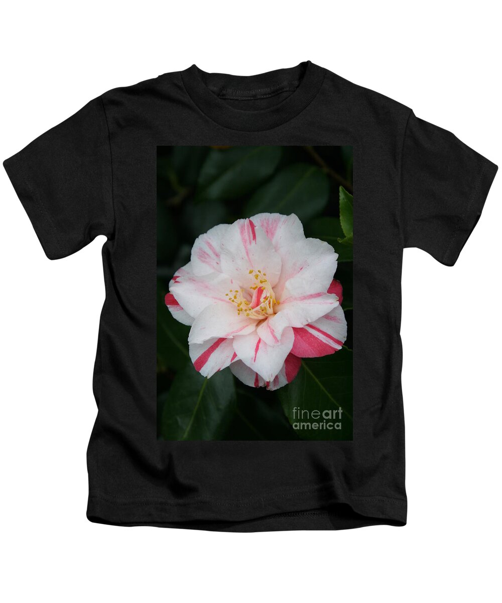 White Camellia Kids T-Shirt featuring the photograph White With Pink Camellia by Christiane Schulze Art And Photography