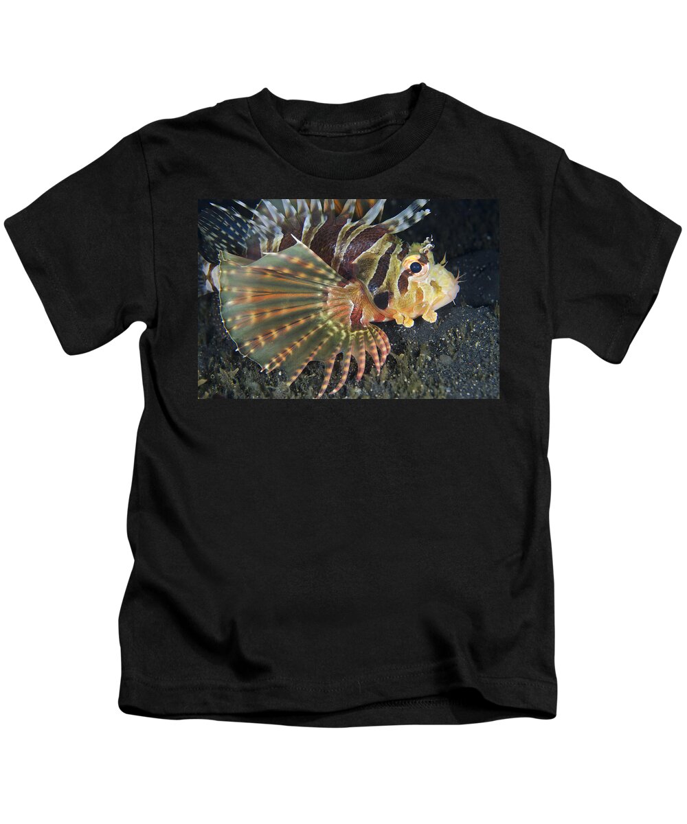 Flpa Kids T-Shirt featuring the photograph Zebra Lionfish Lembeh Straits by Colin Marshall