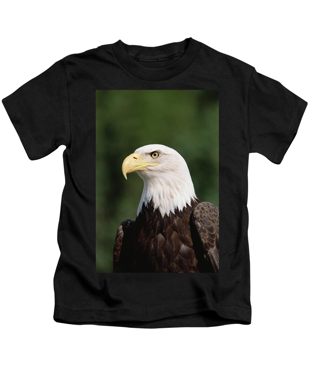 Mp Kids T-Shirt featuring the photograph Bald Eagle Haliaeetus Leucocephalus #1 by Konrad Wothe