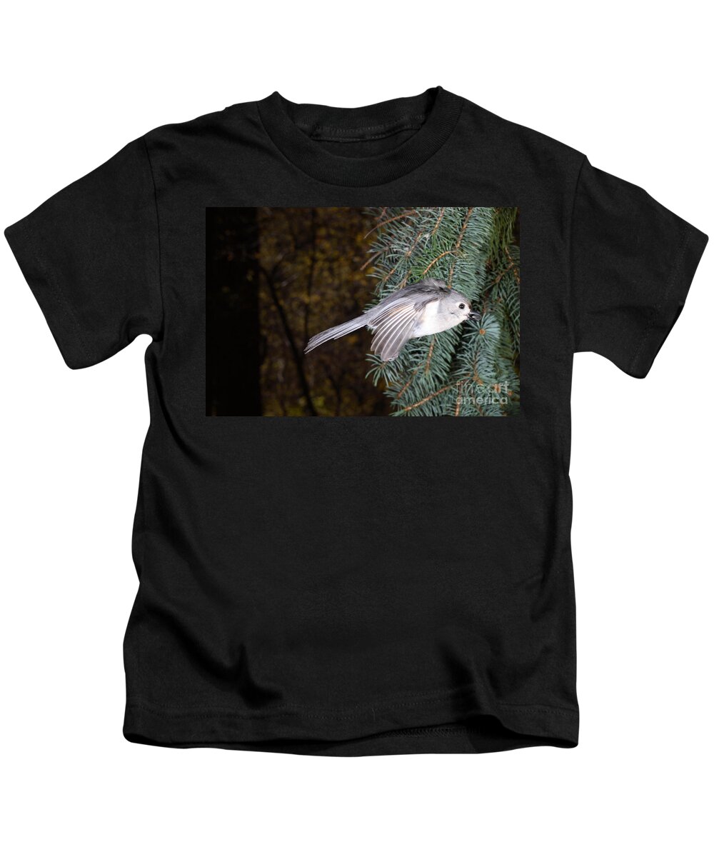 Tufted Titmouse Kids T-Shirt featuring the photograph Tufted Titmouse In Flight #10 by Ted Kinsman