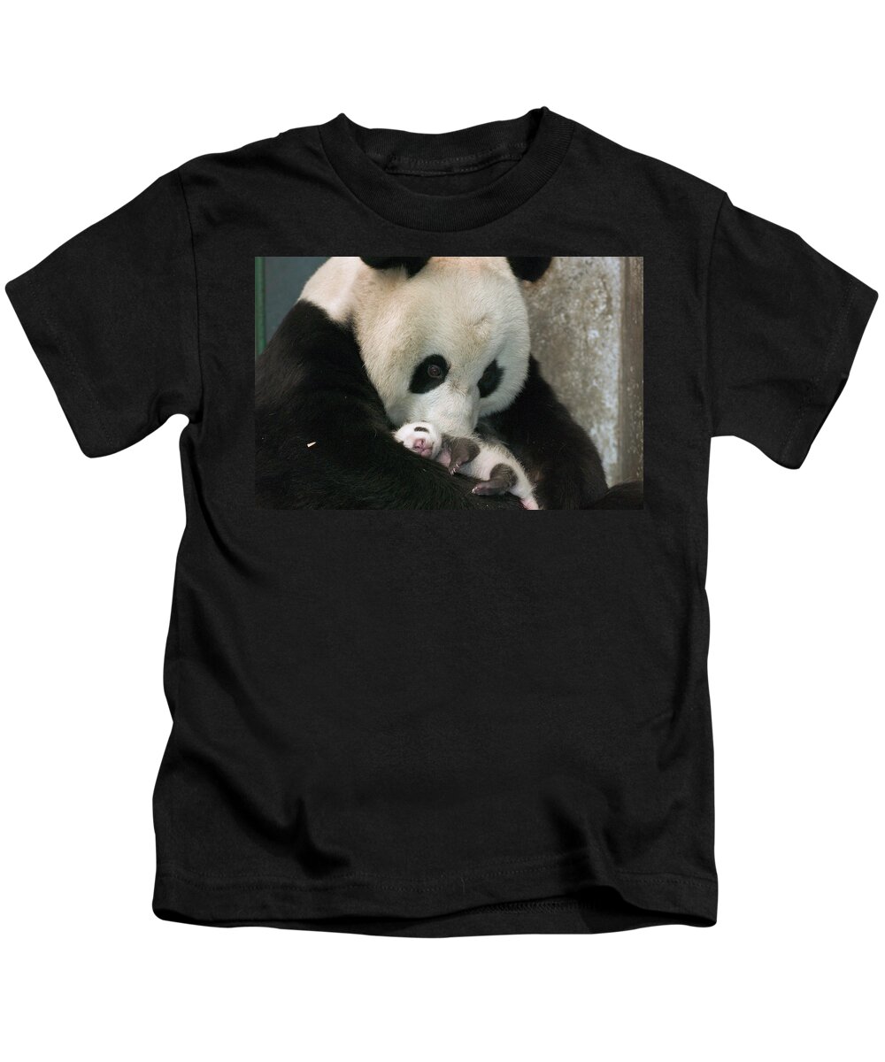 Mp Kids T-Shirt featuring the photograph Giant Panda Ailuropoda Melanoleuca #3 by Katherine Feng