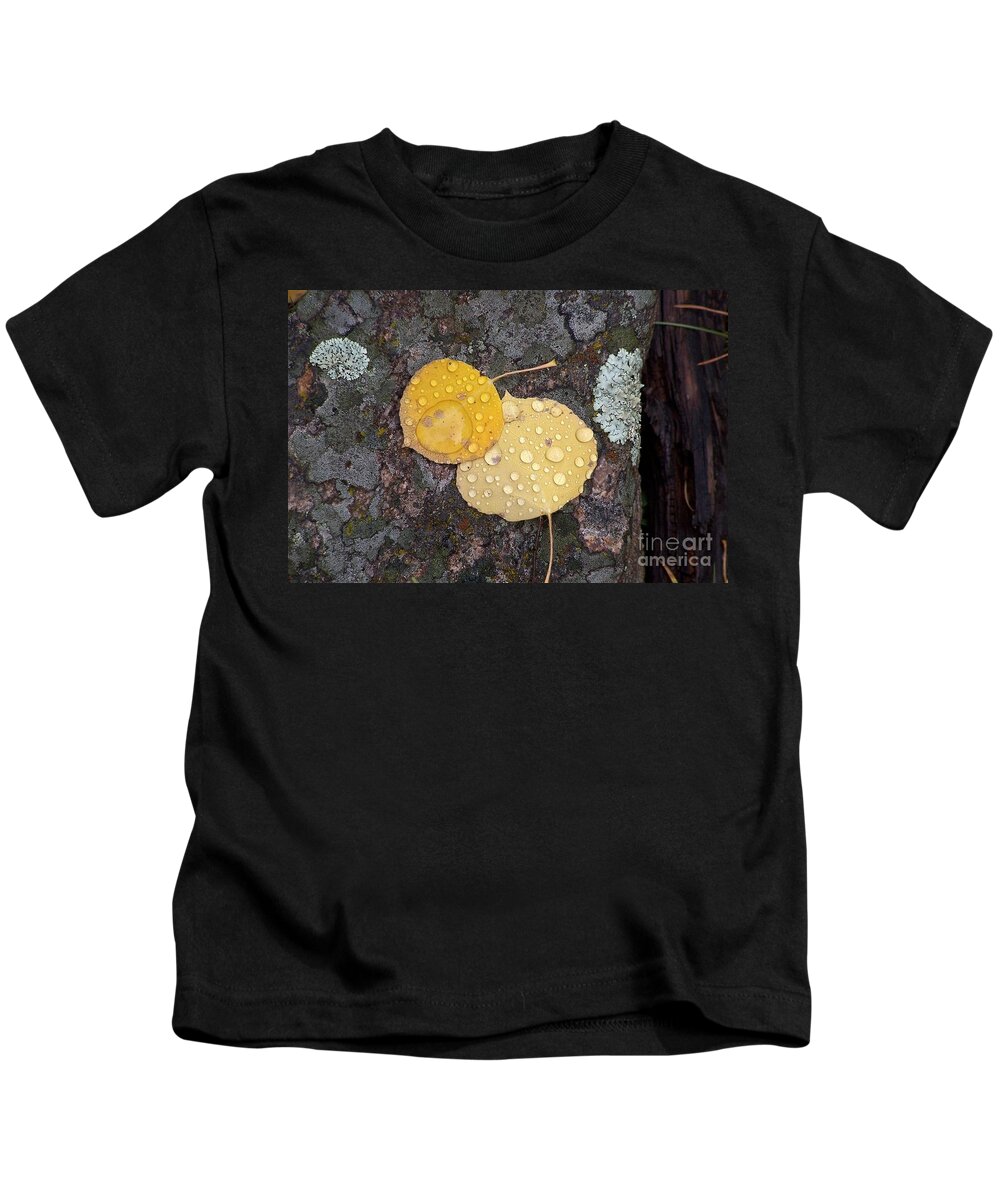 Aspen Leaves Kids T-Shirt featuring the photograph Aspen Tears by Dorrene BrownButterfield