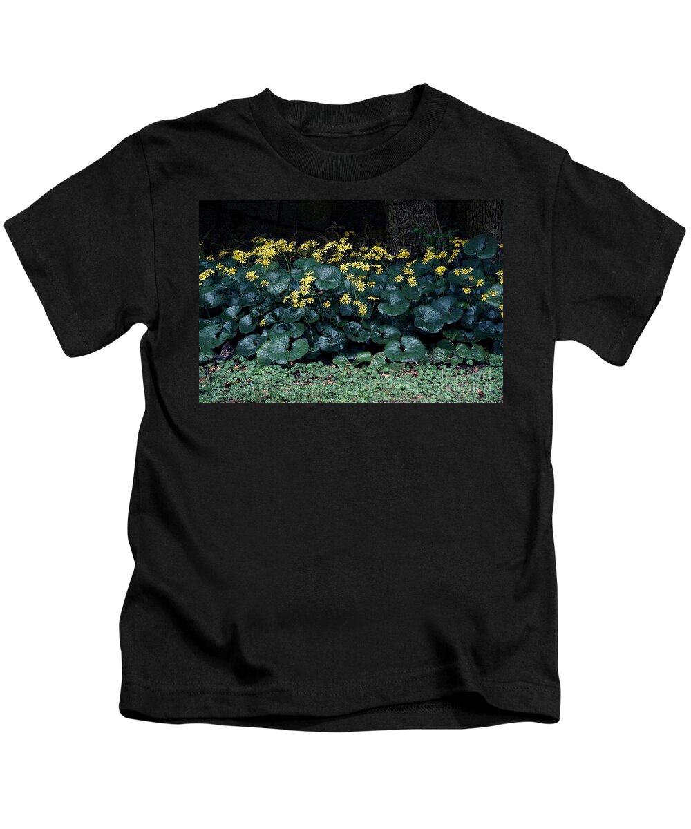 Flowers Kids T-Shirt featuring the photograph Autumn Flowers by Eena Bo