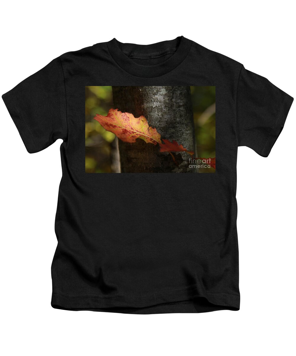 Autumn Orange Kids T-Shirt featuring the photograph Autumn Orange by Deborah Benoit