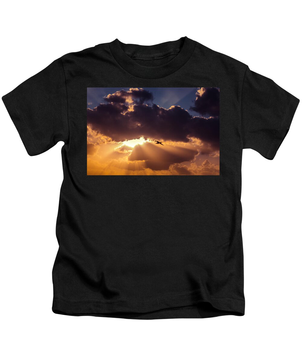 Air Kids T-Shirt featuring the photograph Bird in sunrise rays by Michael Goyberg