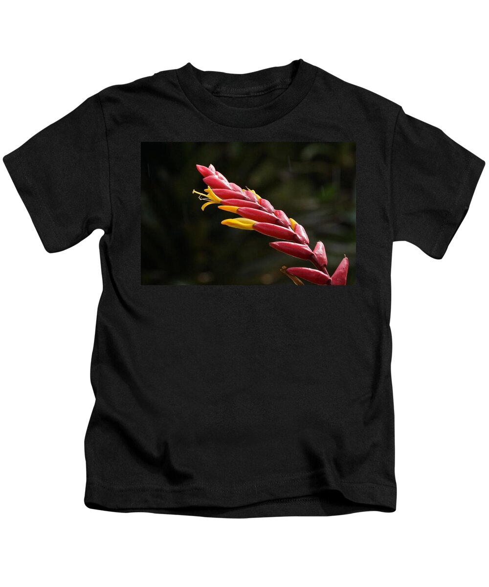 Vriesea Kids T-Shirt featuring the photograph Blooming Inferno by Byron Varvarigos
