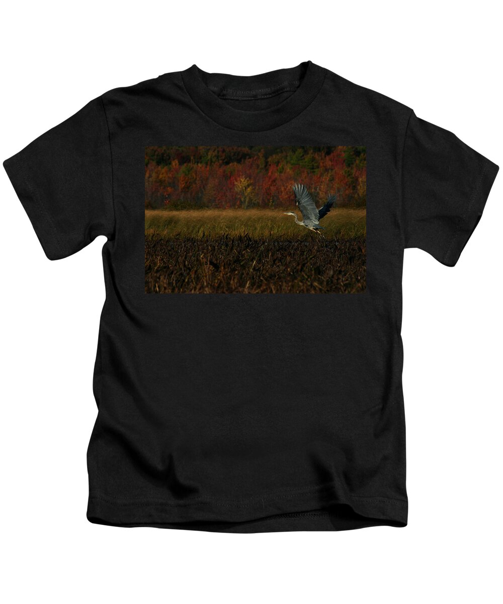 Blue Heron Kids T-Shirt featuring the photograph Blue Heron Mud Pond Dublin by Benjamin Dahl
