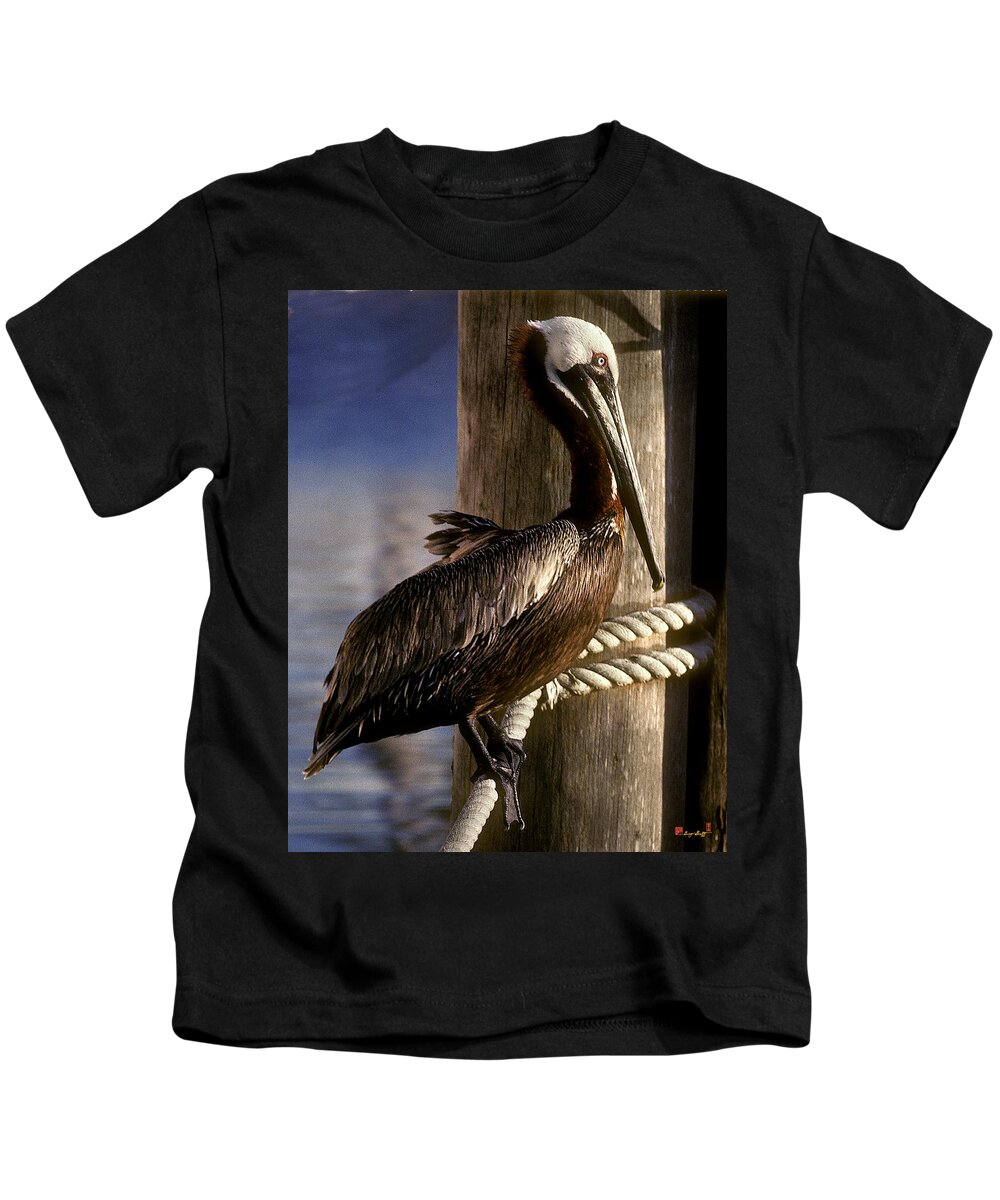Birds Kids T-Shirt featuring the photograph Brown Pelican in Key West 9L by Gerry Gantt