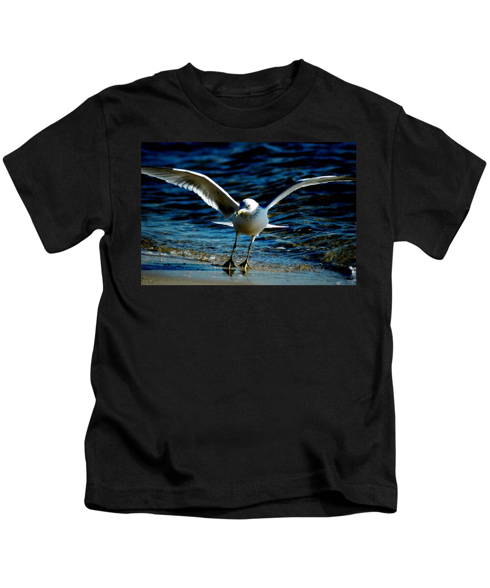 Seagull Kids T-Shirt featuring the photograph Dance Move by David Weeks