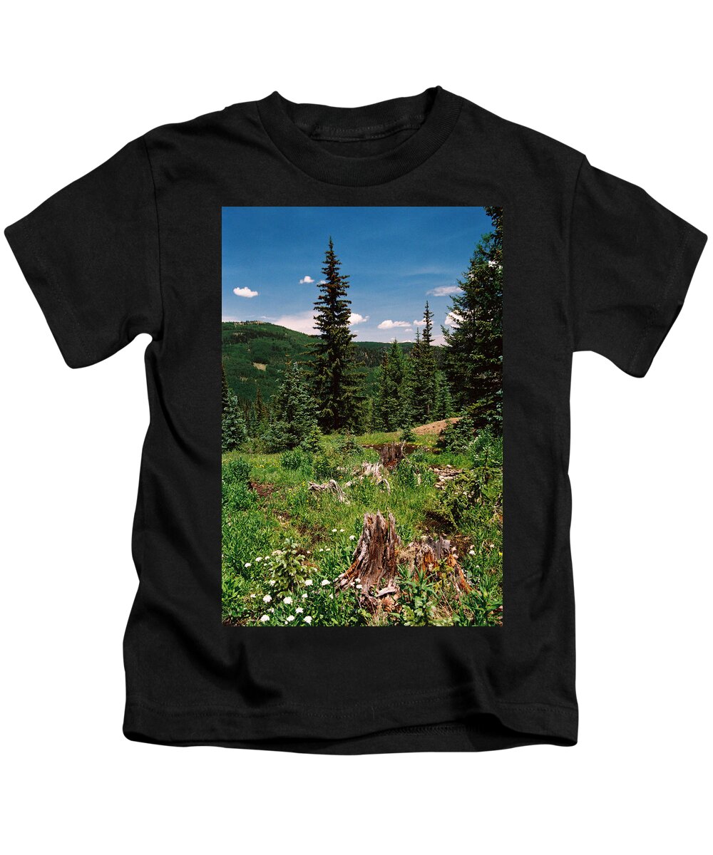 Red River Kids T-Shirt featuring the photograph High Mountain Meadow by Ron Weathers