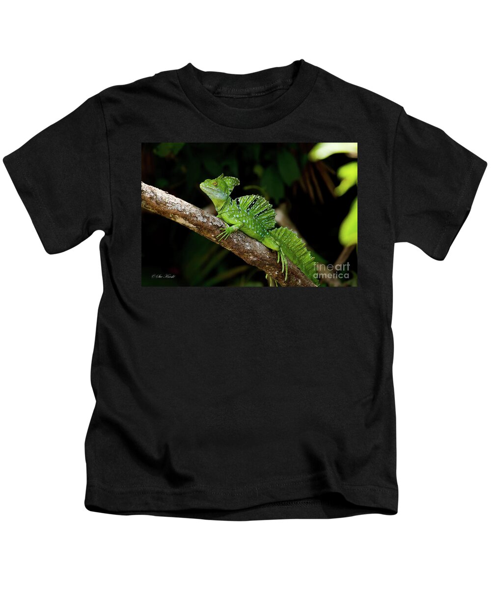 Costa Rica Kids T-Shirt featuring the photograph Lizard on a Stick by Sue Karski