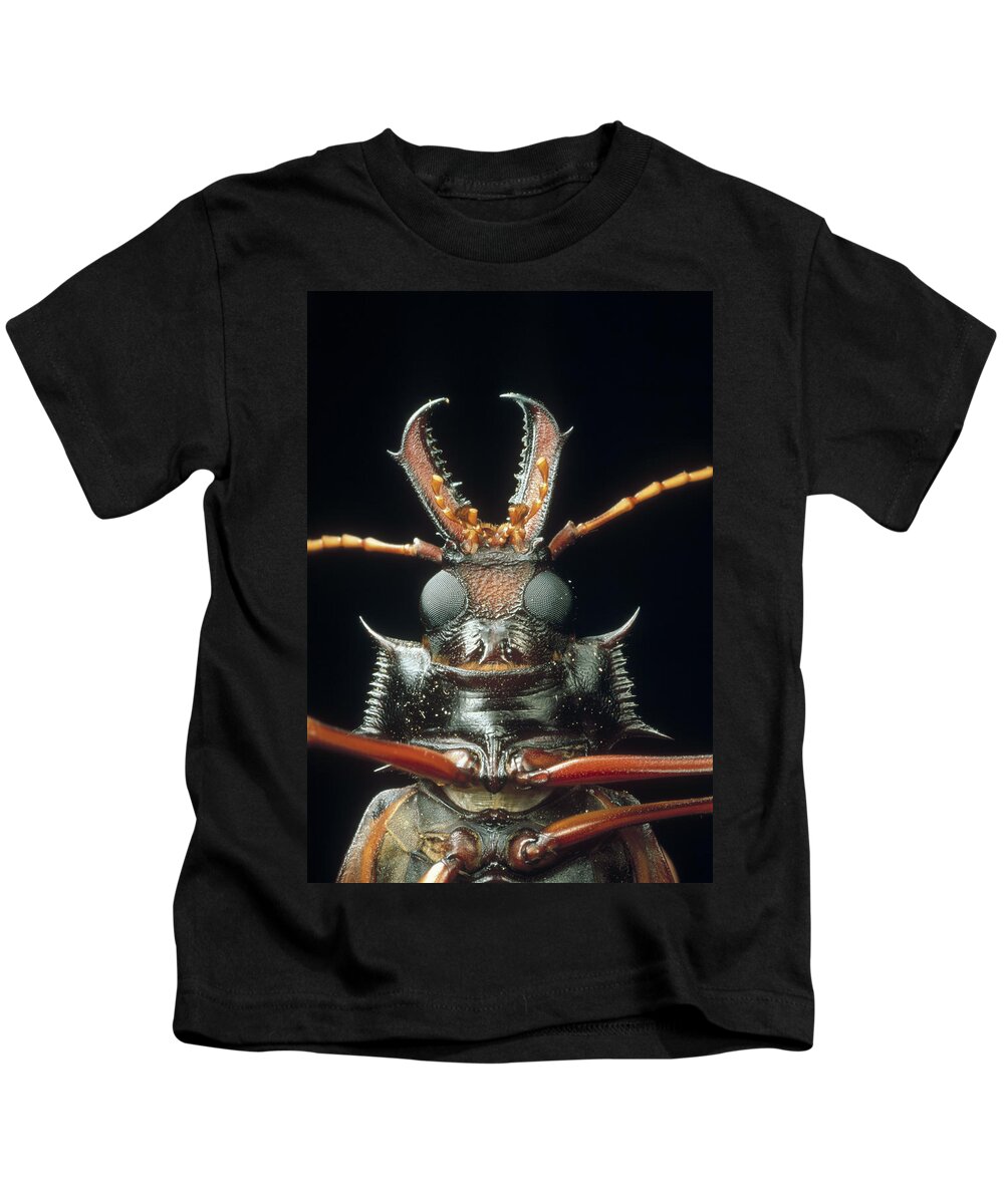 Mp Kids T-Shirt featuring the photograph Longhorn Beetle Macrodontia Cervicornis by Mark Moffett