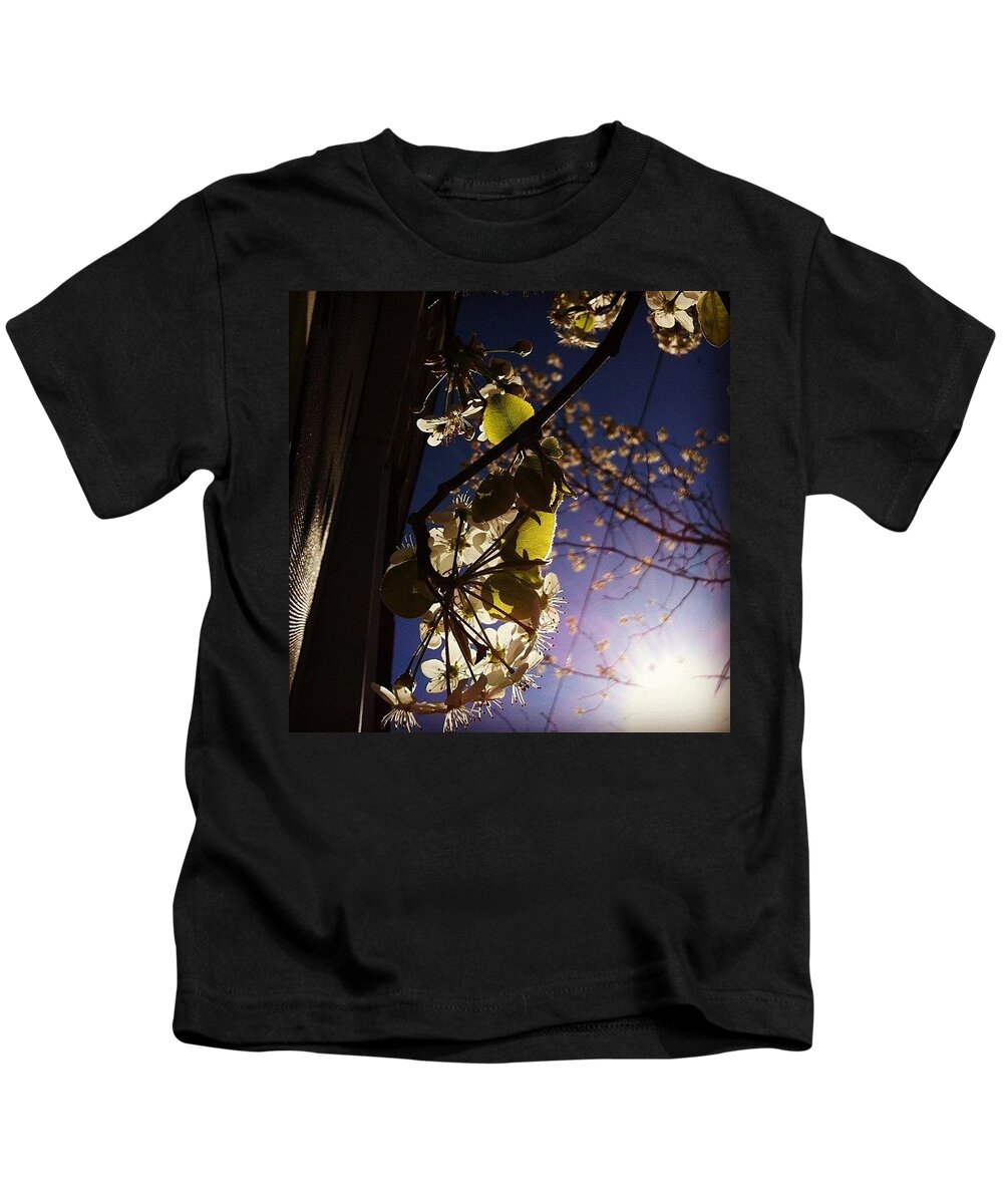 Tree Kids T-Shirt featuring the photograph Looking Straight Up And Out Our Window by Katie Cupcakes