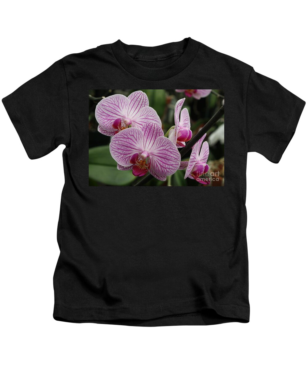 Phalaenopsis Kids T-Shirt featuring the photograph Majestic Orchids by Carol Groenen