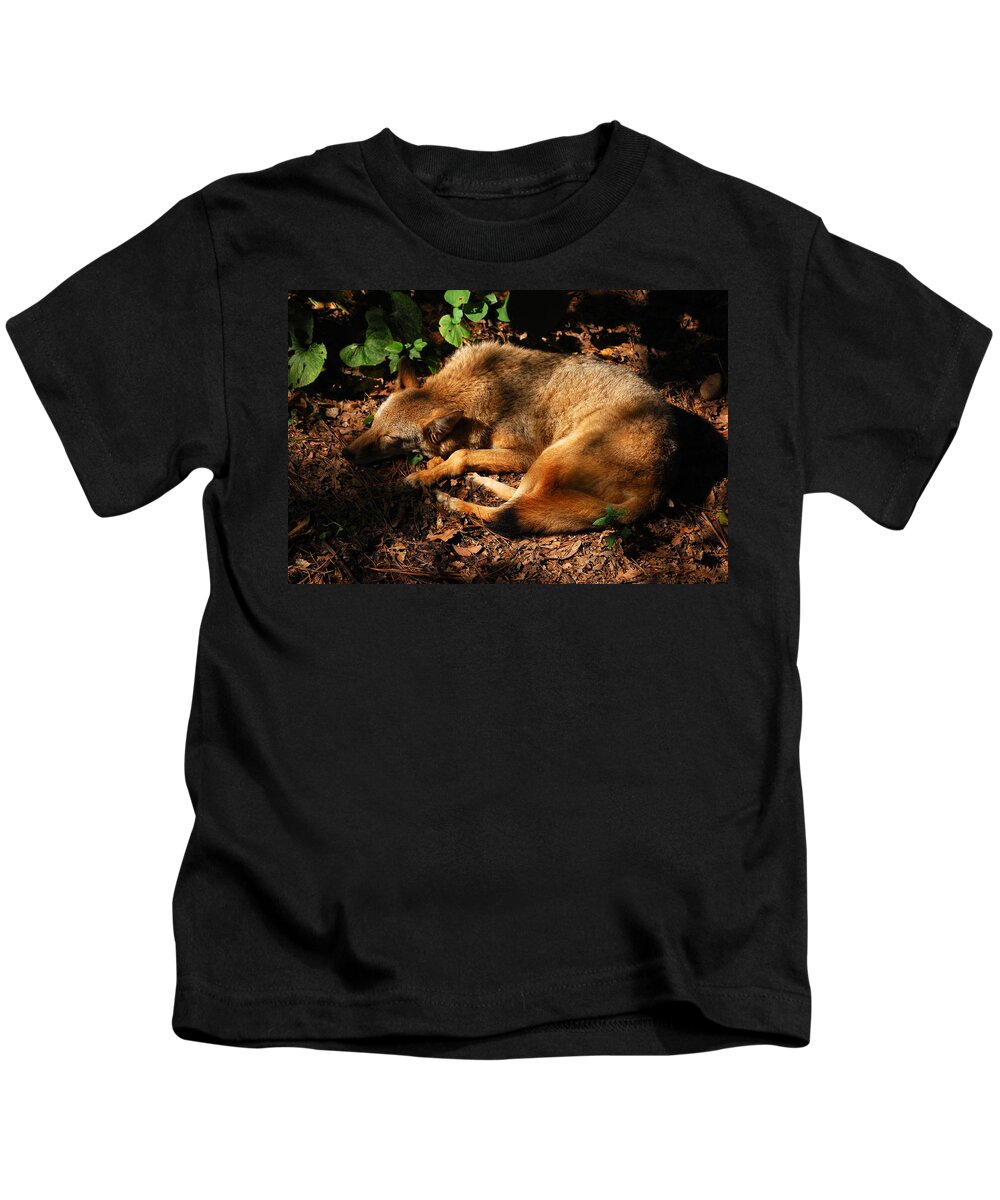 Red Fox Kids T-Shirt featuring the photograph Peaceful Slumber by Lori Tambakis