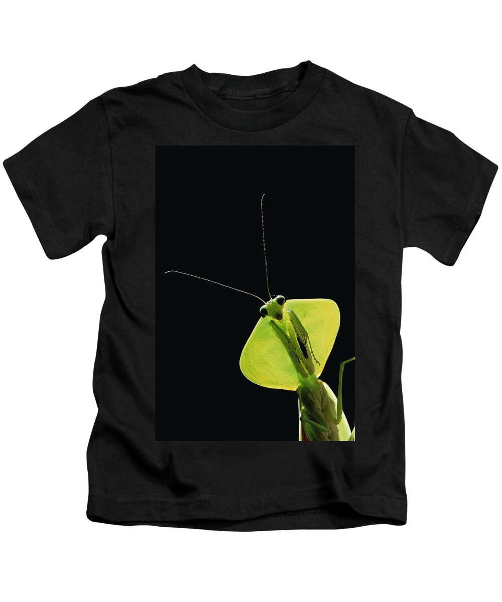 Mp Kids T-Shirt featuring the photograph Praying Mantis Mantis Sp, Los Cedros by Gerry Ellis