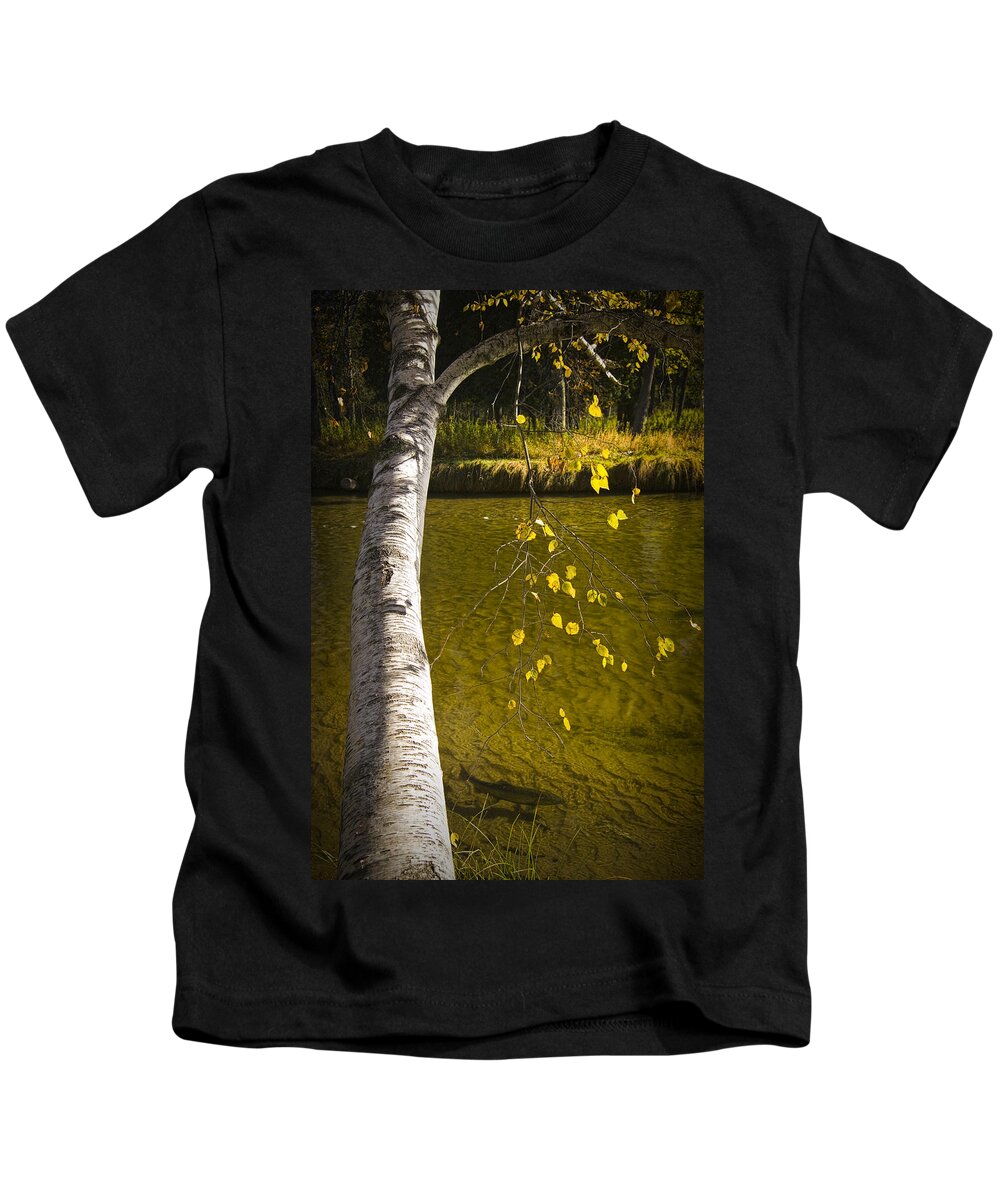 Art Kids T-Shirt featuring the photograph Salmon during the Fall Migration in the Little Manistee River in Michigan No. 0887 by Randall Nyhof