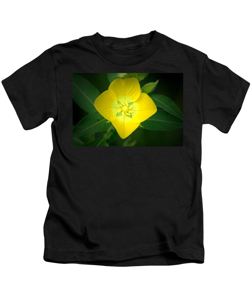 Flower Kids T-Shirt featuring the photograph Symmetry by David Weeks