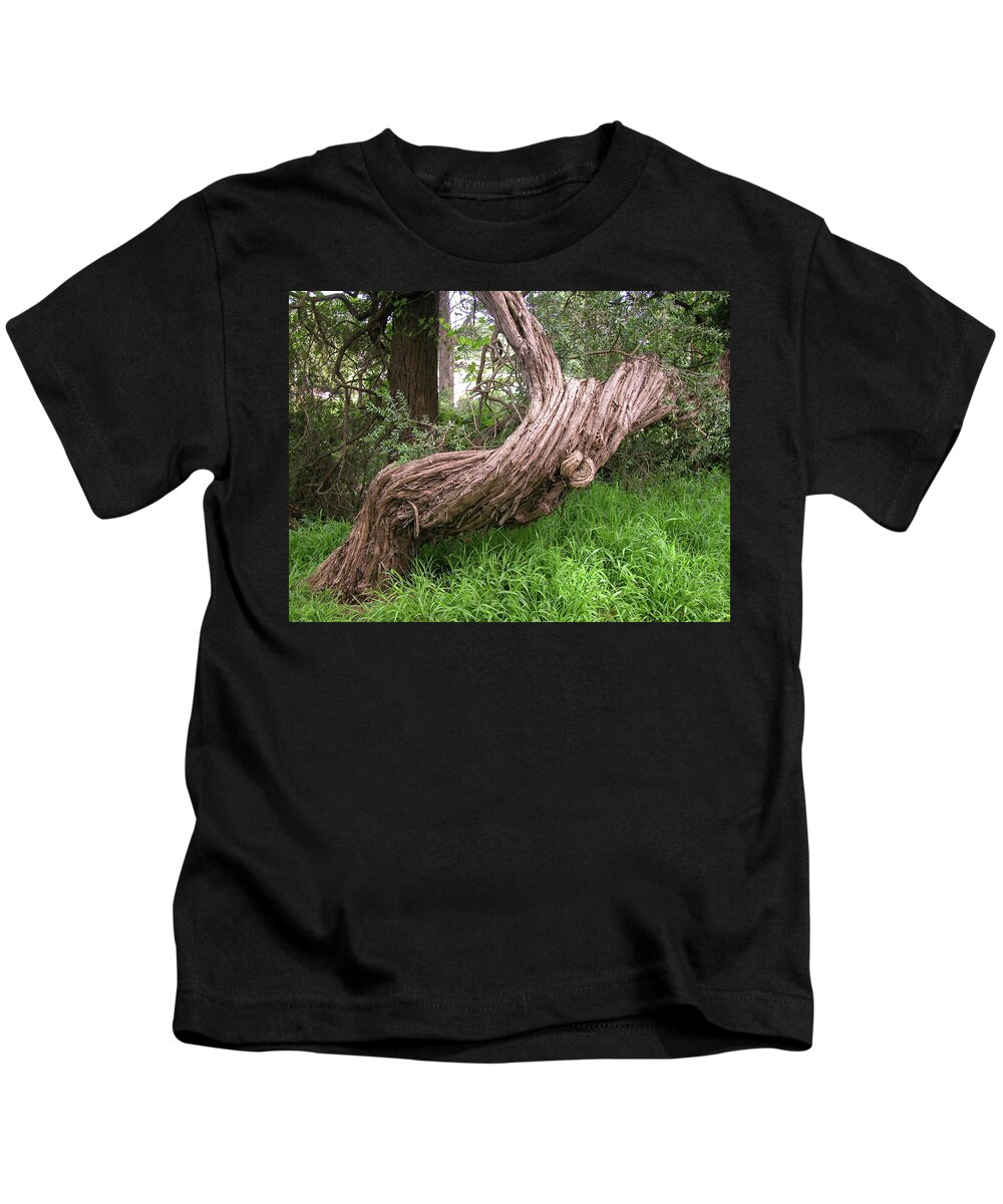 Tree Kids T-Shirt featuring the photograph Twisted Tree 1123 by Guy Whiteley