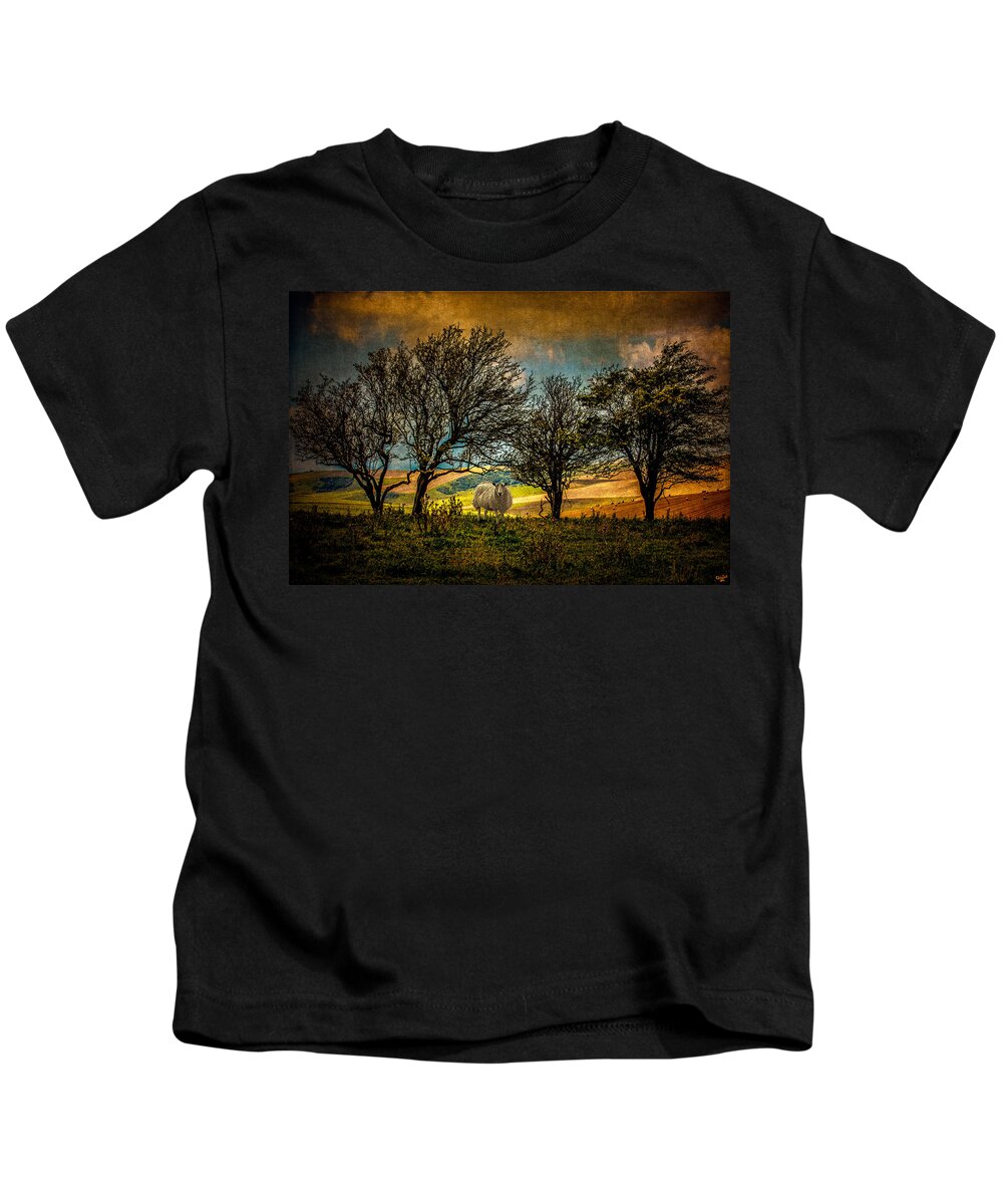 Sheep Kids T-Shirt featuring the photograph Up On The Sussex Downs In Autumn by Chris Lord