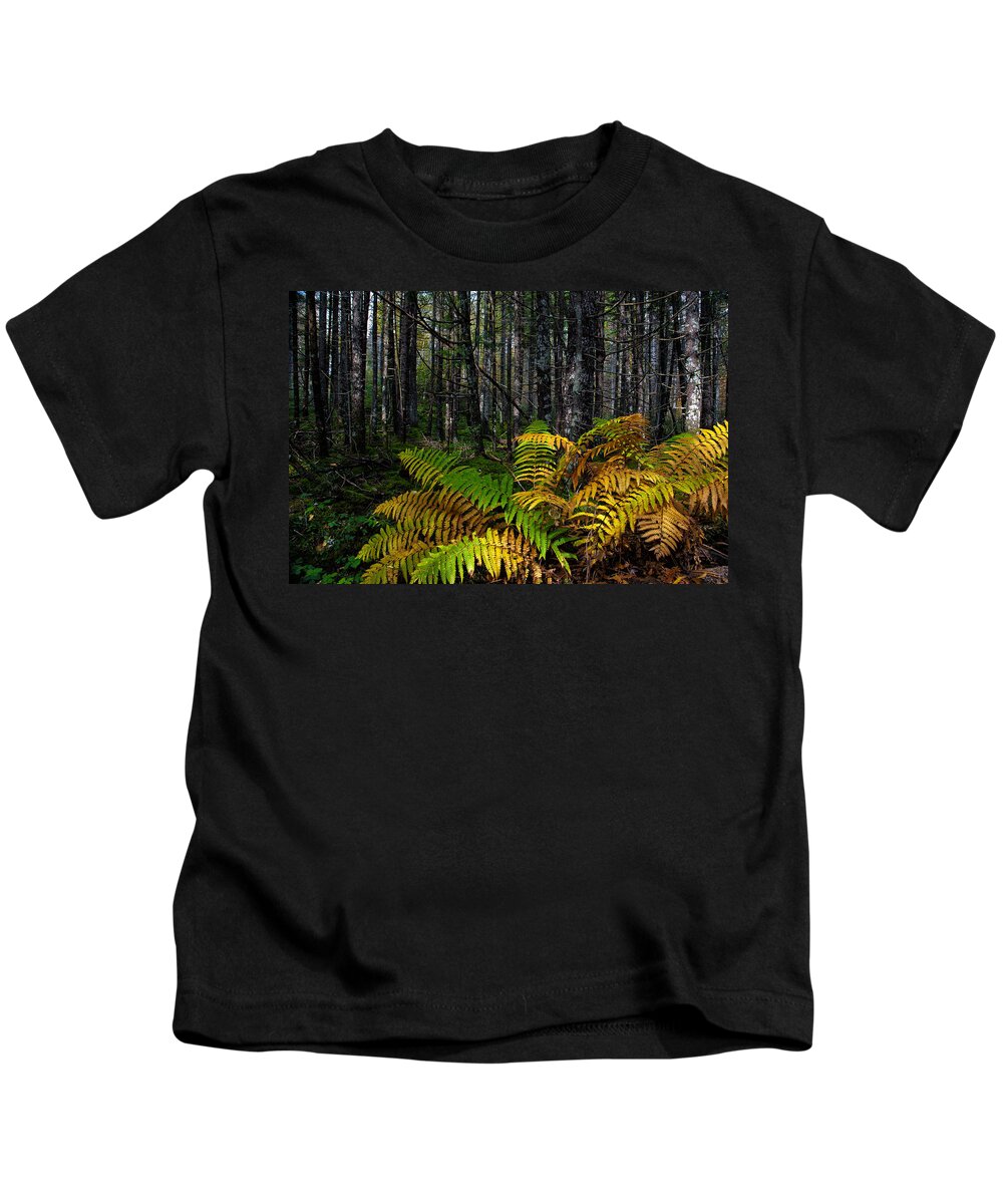 2012 Kids T-Shirt featuring the photograph Where the Ferns Grow by Ronald Lutz