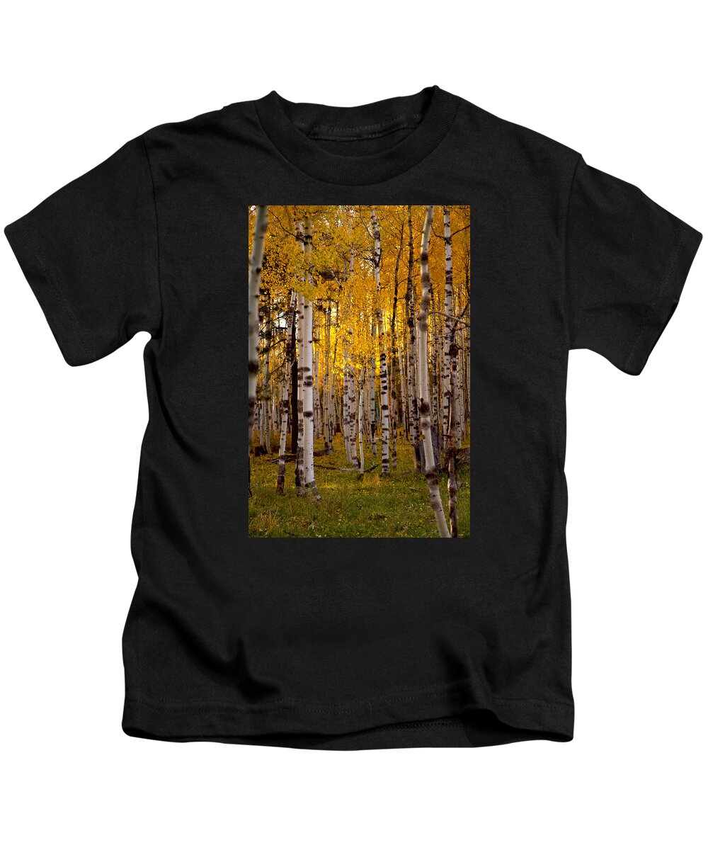 Aspens Kids T-Shirt featuring the photograph Fall at Snowbowl #1 by Tom Kelly