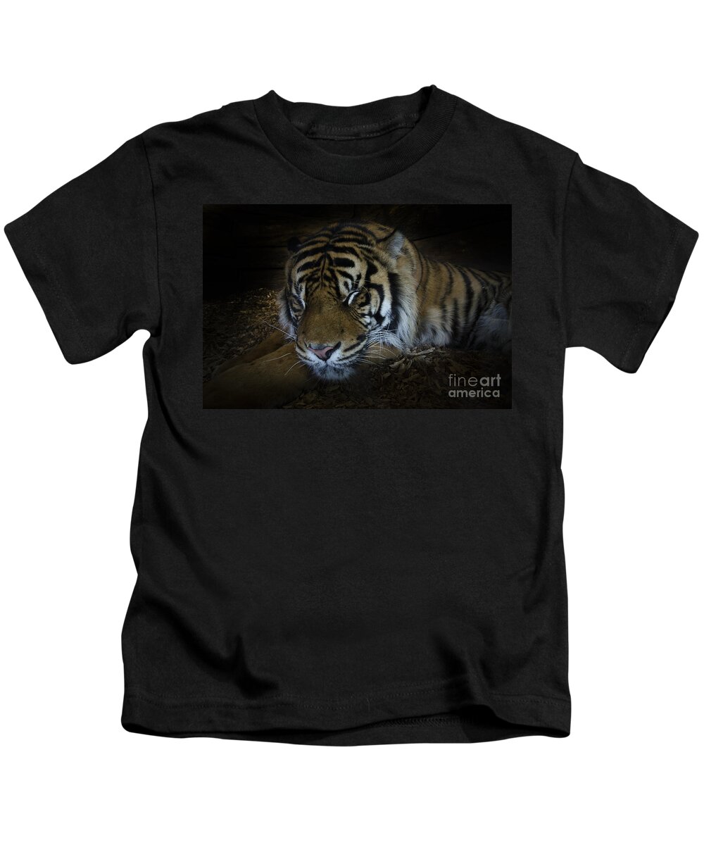 Tiger Kids T-Shirt featuring the photograph Sleeping tiger #1 by Steev Stamford