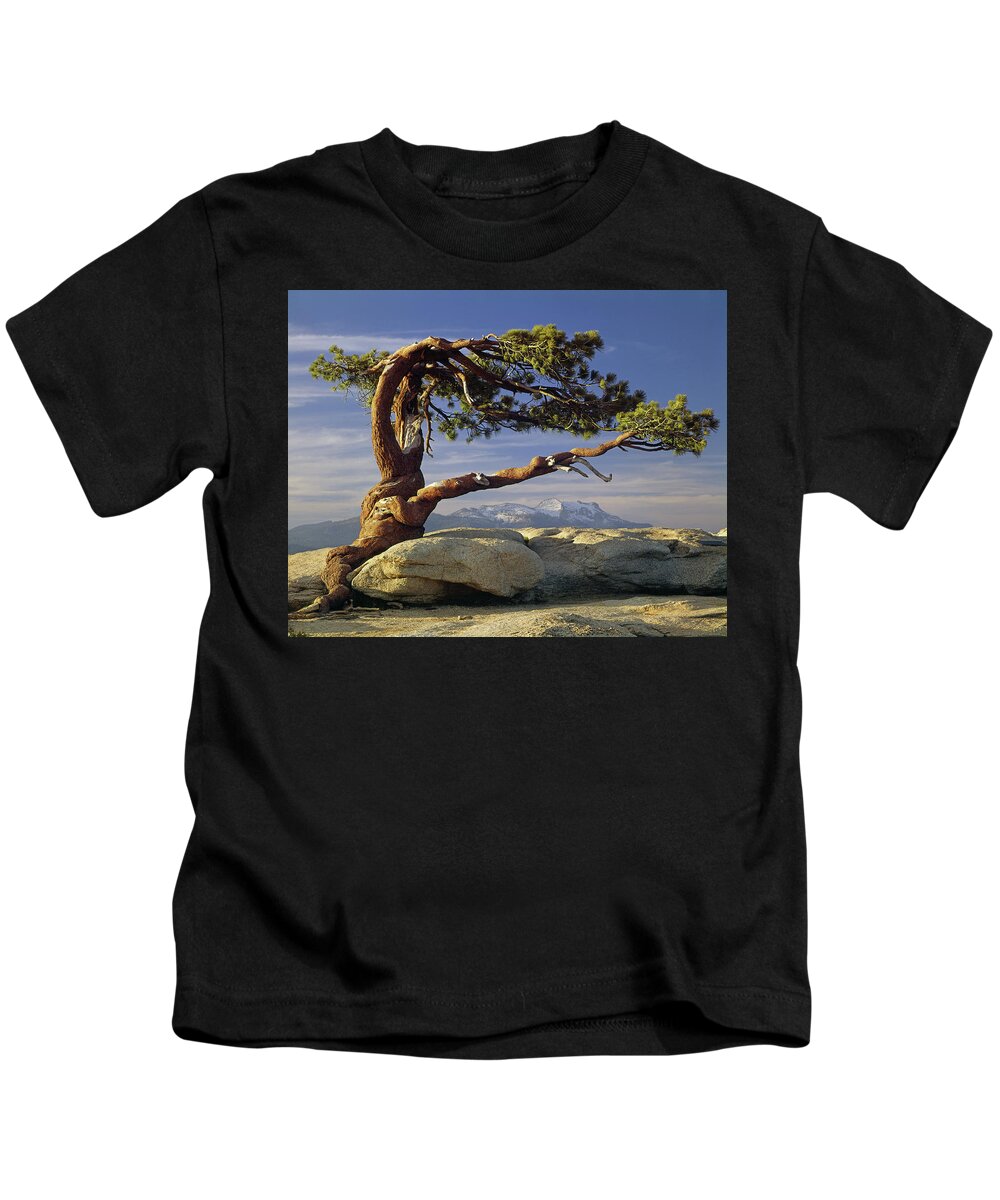 1m6701 Kids T-Shirt featuring the photograph 1M6701 Historic Jeffrey Pine Sentinel Dome Yosemite by Ed Cooper Photography