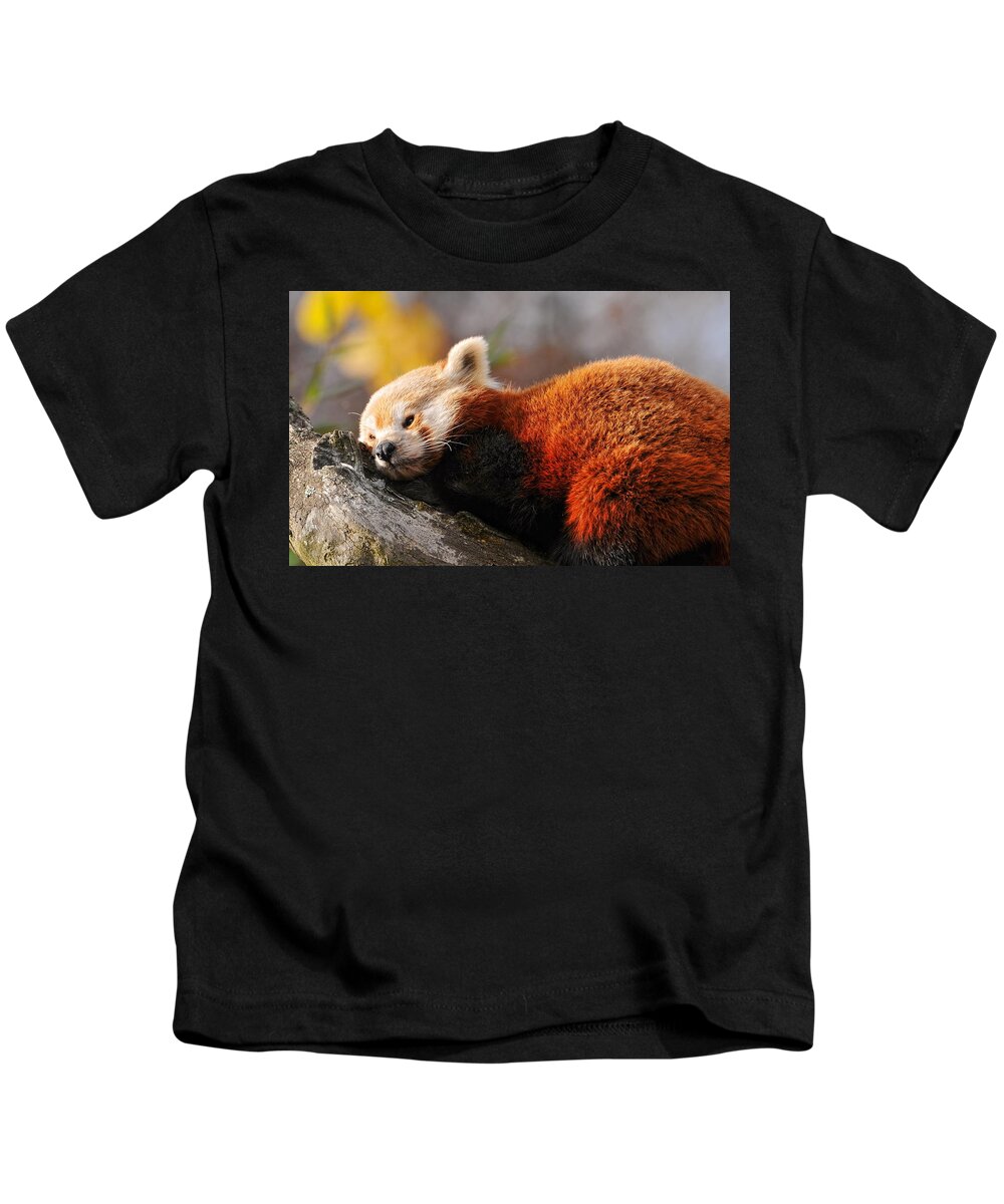 Red Panda Kids T-Shirt featuring the digital art Red Panda #2 by Super Lovely
