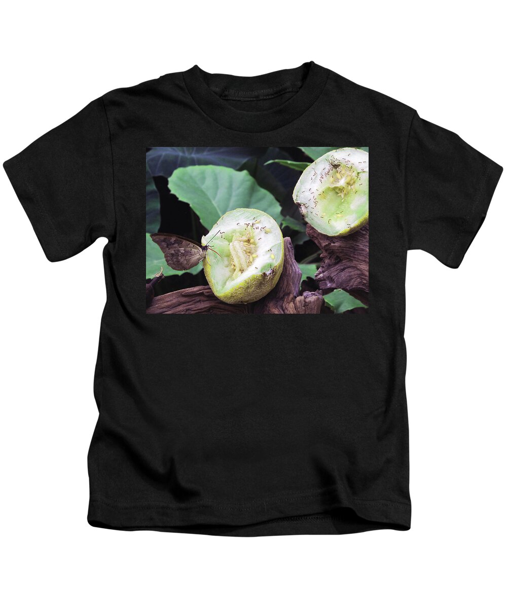 Nature Kids T-Shirt featuring the photograph Butterfly Buffet by Kathy Corday
